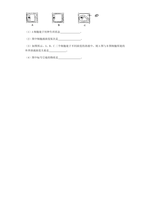 高中生物必修一第四章测试卷.docx