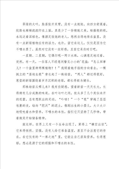 有关初中优秀作文合集十篇