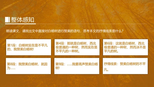 初中语文茅盾《白杨礼赞》PPT教学课件