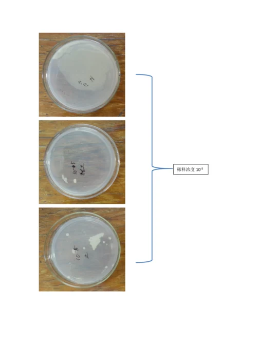 环境中微生物的检测和分离纯化.docx