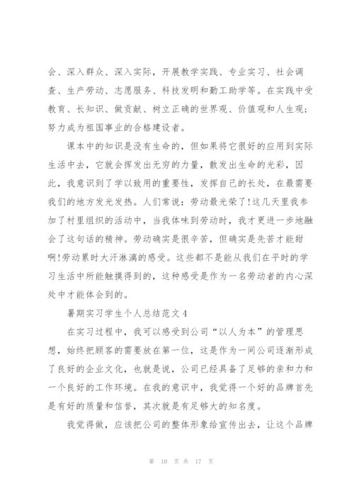 暑期实习学生个人总结范文5篇.docx