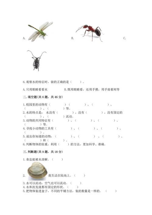 教科版一年级下册科学期末测试卷及完整答案（夺冠系列）.docx