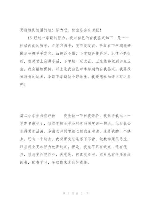 小学生自我评价范文(6篇).docx