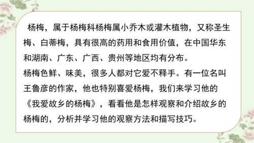 第五单元习作例文我爱故乡的杨梅
