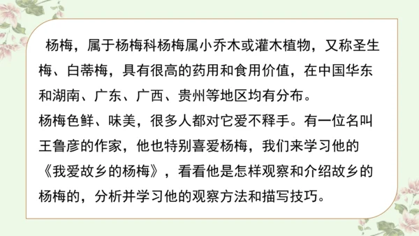 第五单元习作例文我爱故乡的杨梅