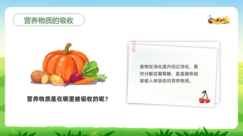 绿色插画合理营养与食品安全PPT模板宣传PPT动态PPT全民营养周