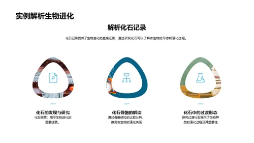 探索生物进化之旅