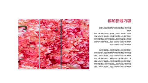 粉色插画风感恩有你主题PPT模板