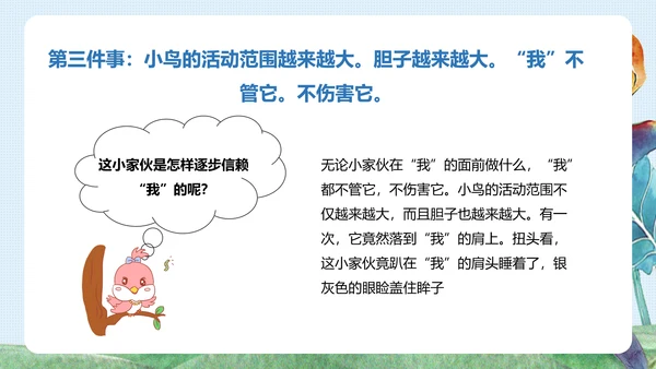《珍珠鸟》五年级语文课件PPT模板