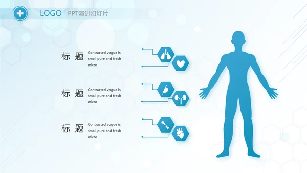 蓝色医疗人体结构学人体研究PPT