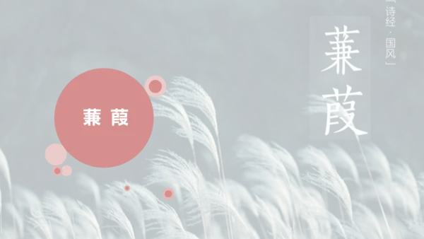 第12课 《诗经》二首——蒹葭 课件(共17张PPT)