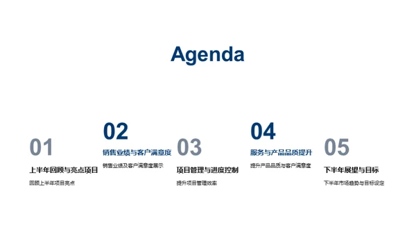 20XX年度房产业绩剖析
