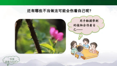 别伤着自己 课件（共23张PPT）