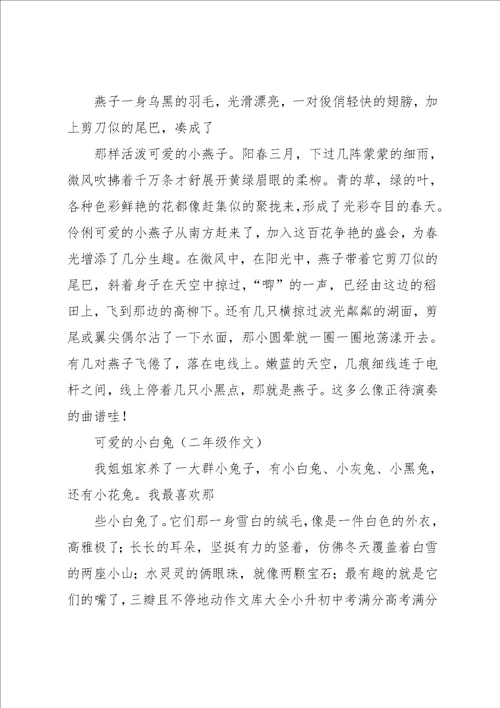 我们的过去,二年级作文