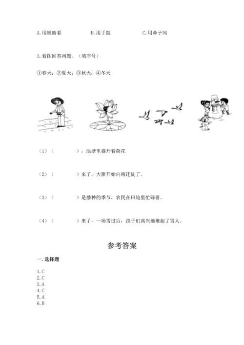 教科版科学二年级上册《期末测试卷》精品（完整版）.docx