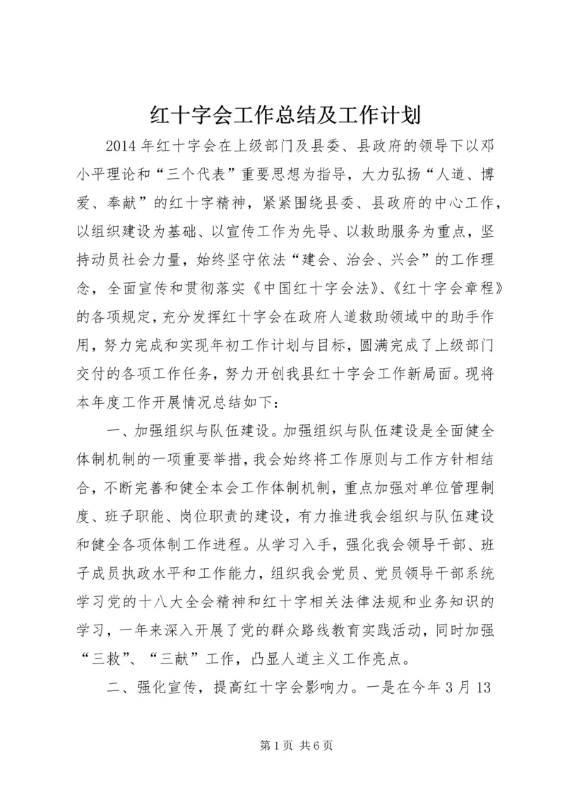 红十字会工作总结及工作计划.docx