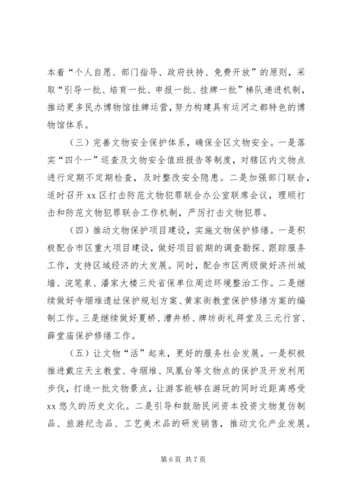 文物局XX年上半年工作总结及下半年工作计划.docx