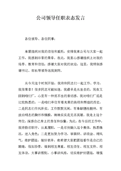 公司领导任职表态发言