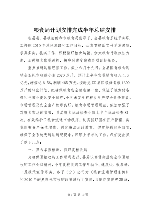 粮食局计划安排完成半年总结安排.docx