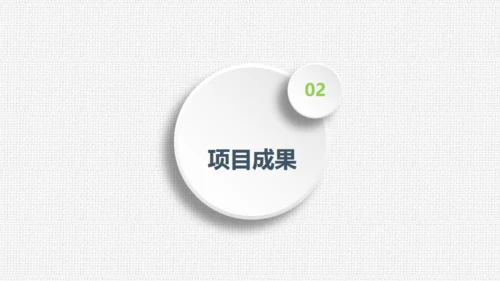 项目评估工作总结布纹质感通用PPT模板