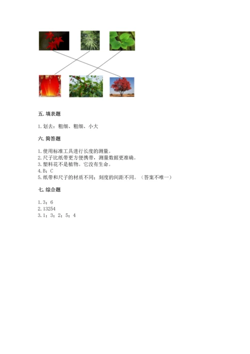 教科版科学一年级上册期末测试卷【中心小学】.docx