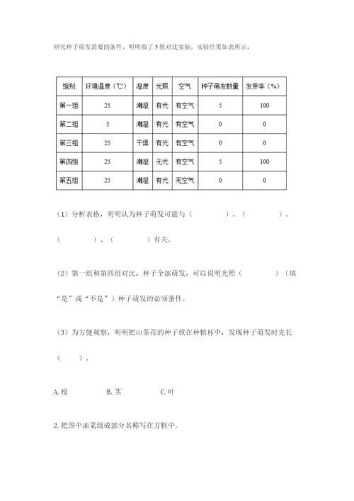 教科版四年级下册科学第一单元《植物的生长变化》测试卷精品【完整版】.docx