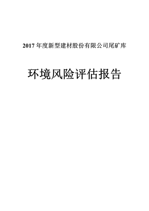 2017尾矿库环境风险评估报告.docx