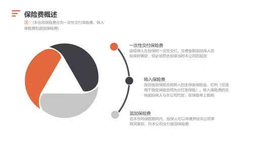 商务风橙色商务保险手册