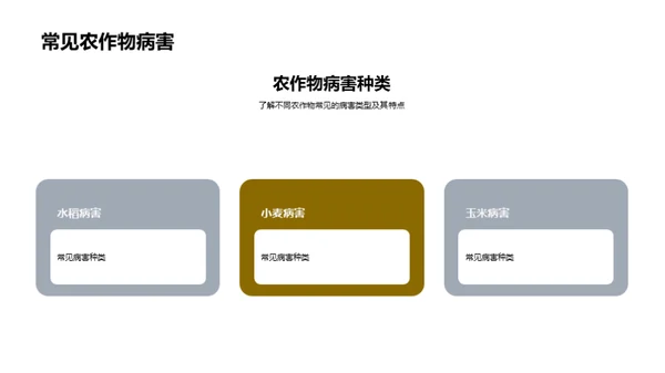 新型农药研发与应用