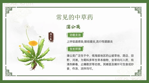 绿色中国风古风神奇中草药主题班会PPT模板中医药