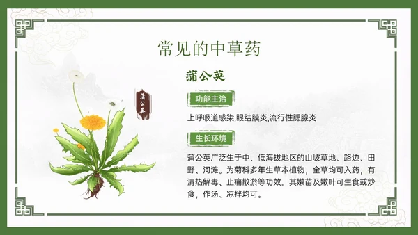 绿色中国风古风神奇中草药主题班会PPT模板中医药