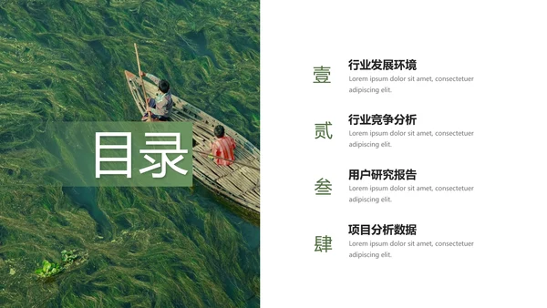 绿色自然风品牌形象策划PPT模板
