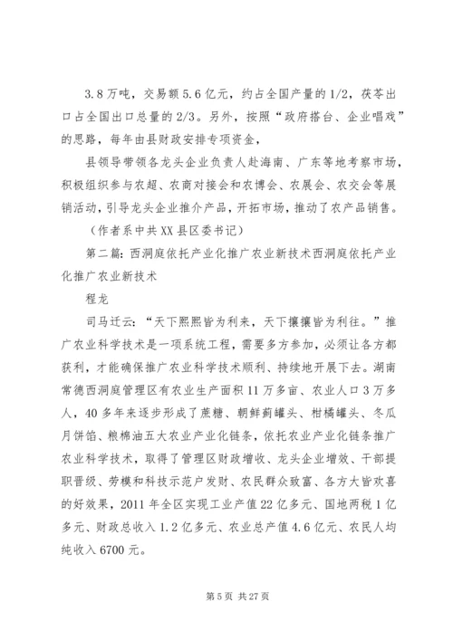 依托农业产业化_1.docx