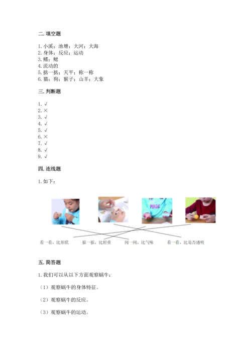 教科版一年级下册科学期末测试卷精品【b卷】.docx