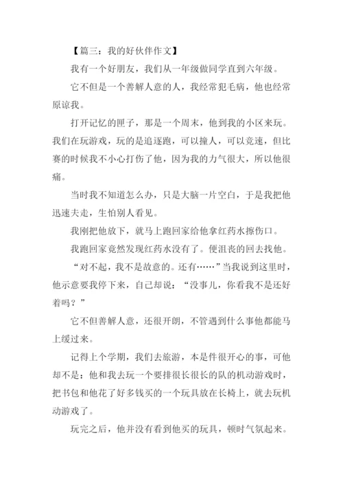 我的好伙伴作文800字.docx