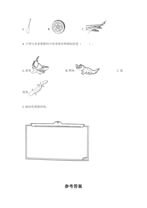 教科版小学科学一年级下册期末测试卷word版.docx
