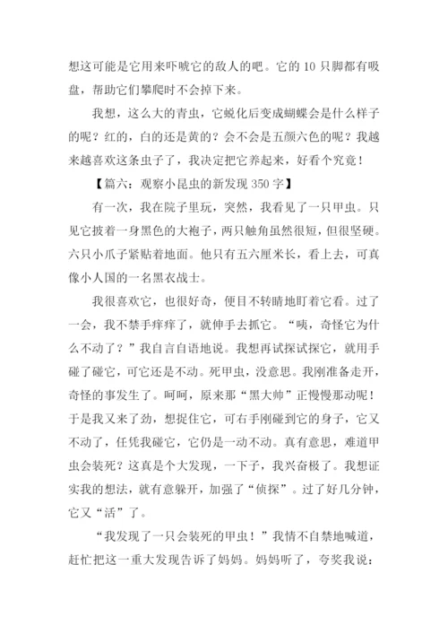 观察小昆虫的作文.docx
