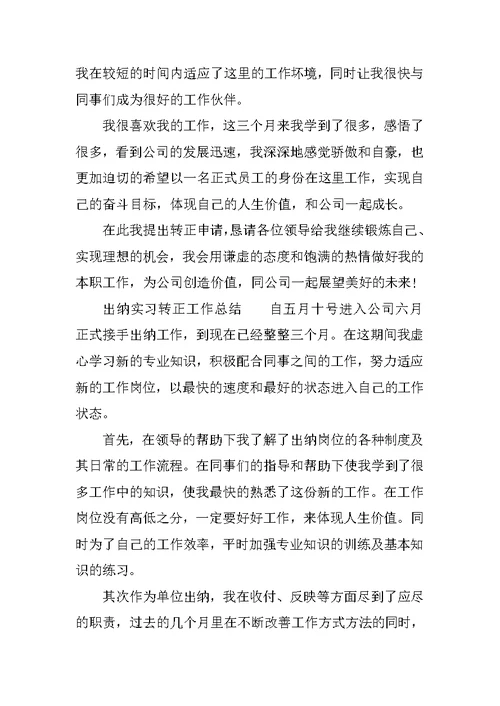 XX出纳实习转正工作总结