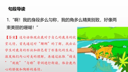 2美丽的鹿角  课件