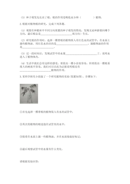 科学四年级下册第一单元《植物的生长变化》测试卷（研优卷）.docx