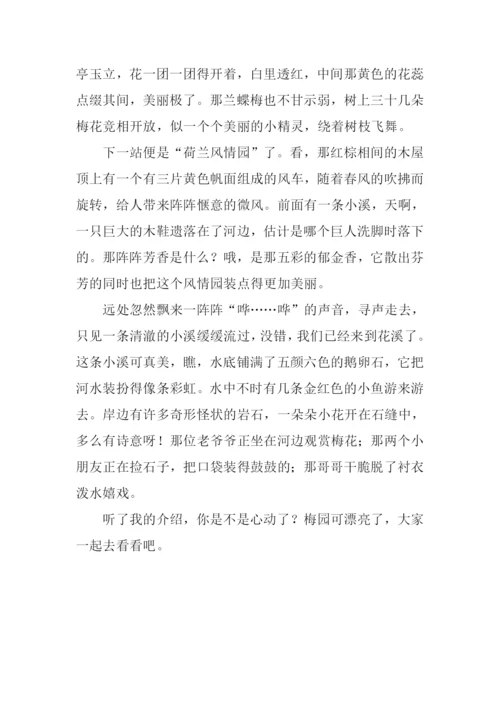 春天的梅园作文.docx