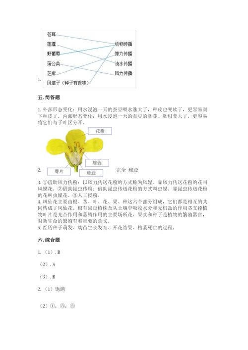 科学四年级下册第一单元《植物的生长变化》测试卷附参考答案【满分必刷】.docx