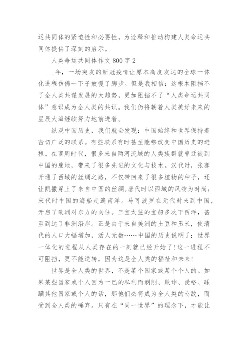 人类命运共同体作文800字范文（精选5篇）.docx