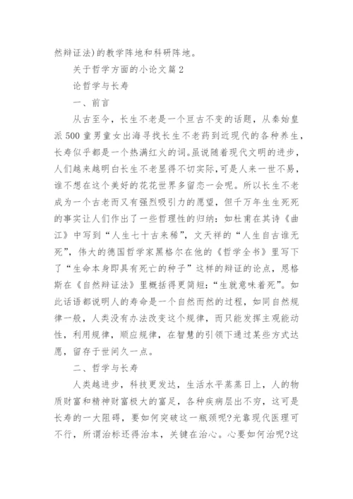 关于哲学方面的小论文.docx