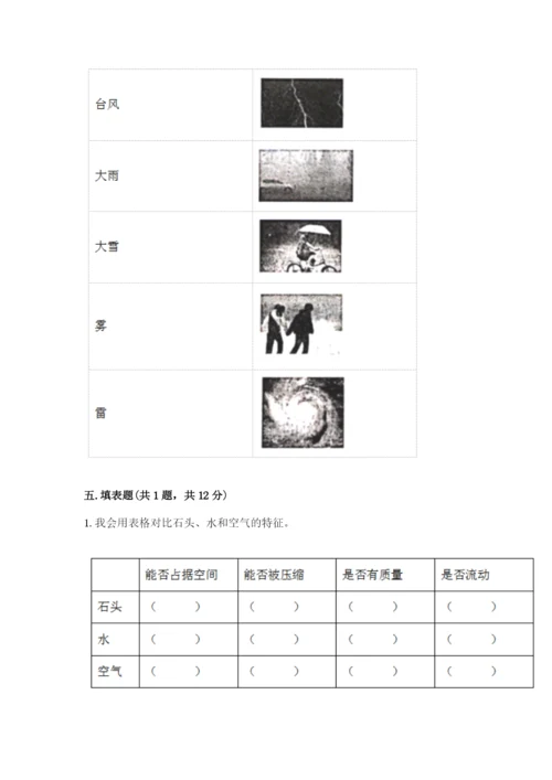 教科版小学三年级上册科学期末测试卷附完整答案（夺冠系列）.docx