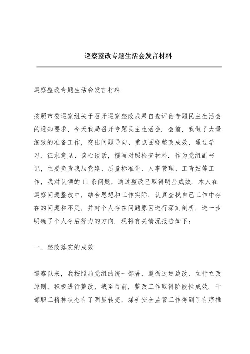 巡察整改专题生活会发言材料.docx