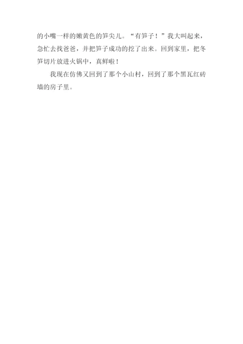 我的乐园作文-6.docx