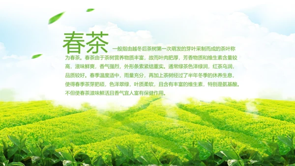 绿茶红茶茶叶茶厂茶文化茶道春茶PPT模板