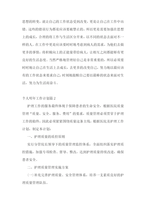 个人明年工作计划.docx