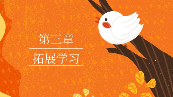 《那座房子最漂亮》语文教学课件通用PPT模板